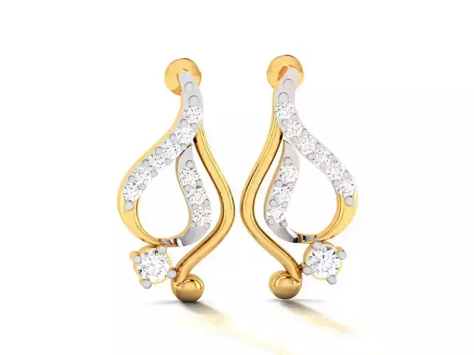 Women earrings