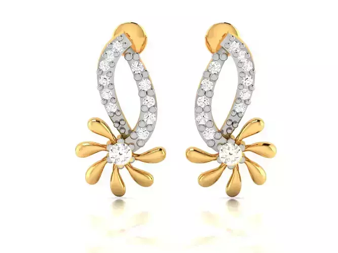 Women earrings