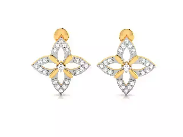 Women earrings