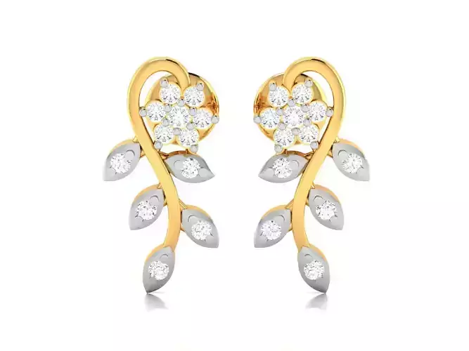 Women earrings