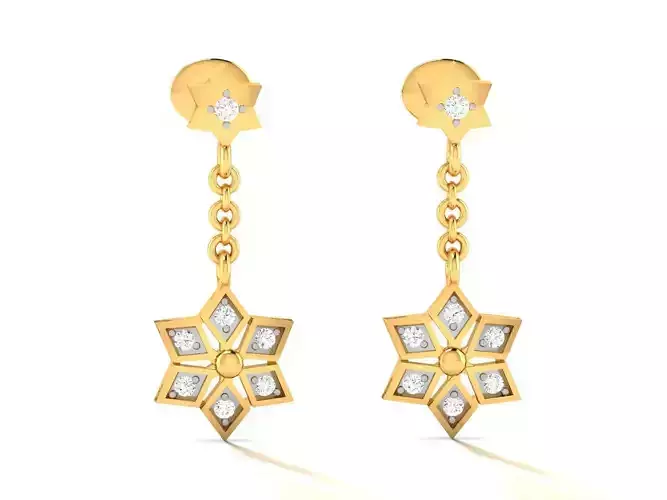Women earrings
