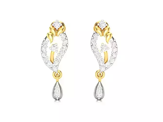 Women earrings