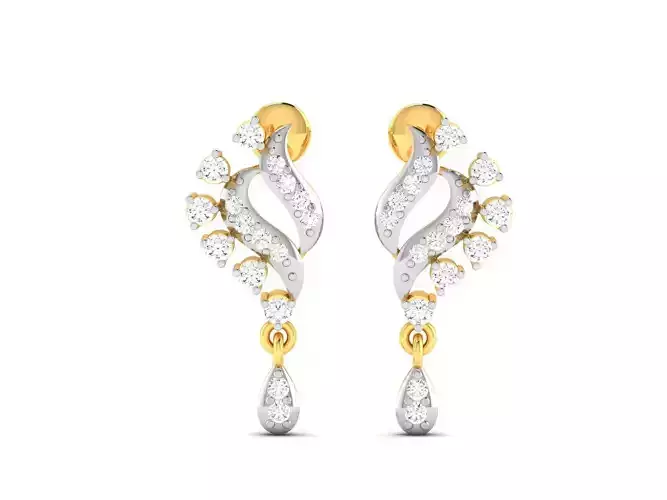 Women earrings