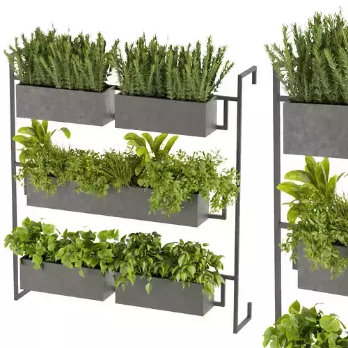 Collection plant vol 364 - box plant - rosemary - pothos - grass 3D model