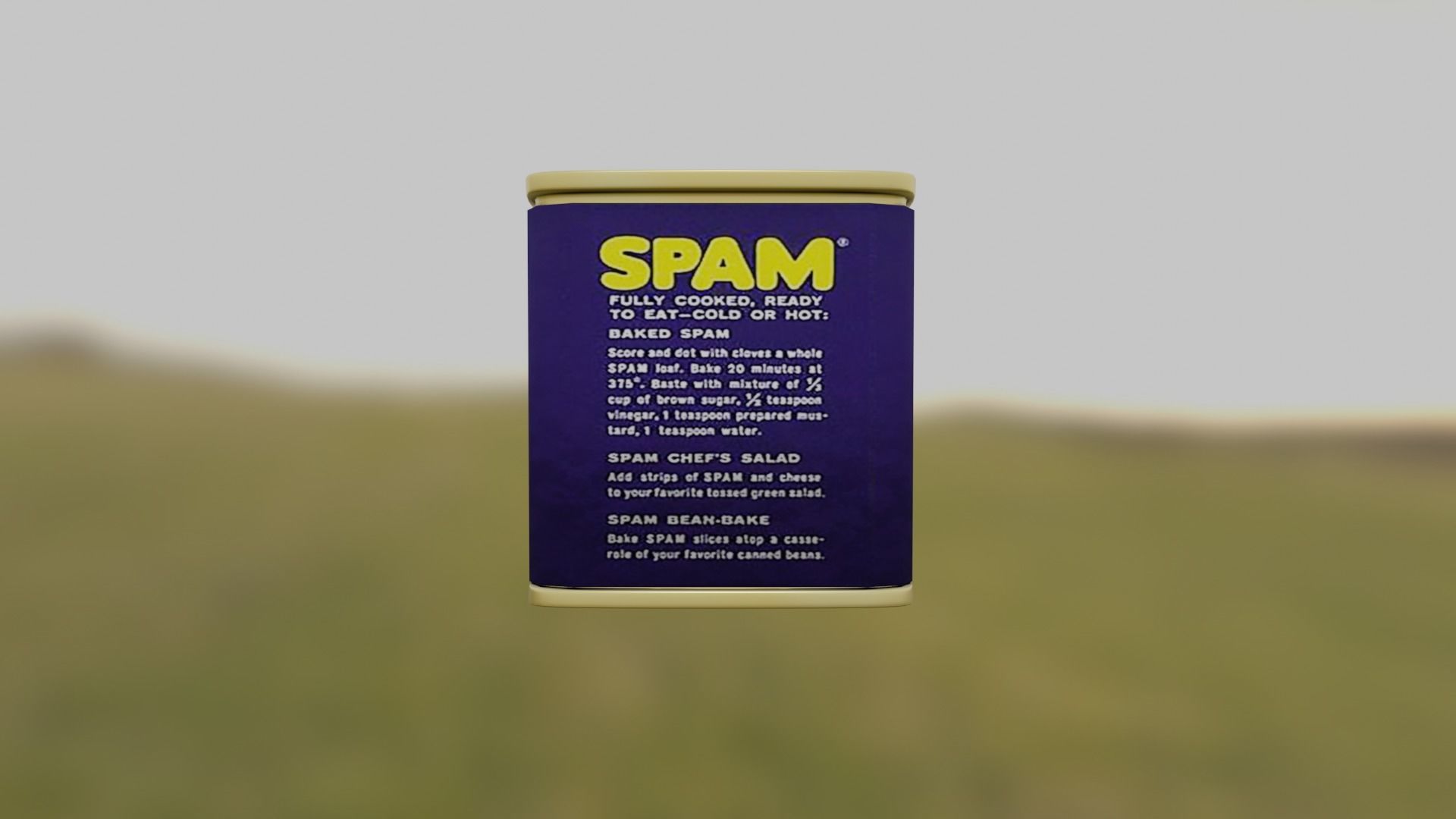 Can Of Spam Free 3D model_2