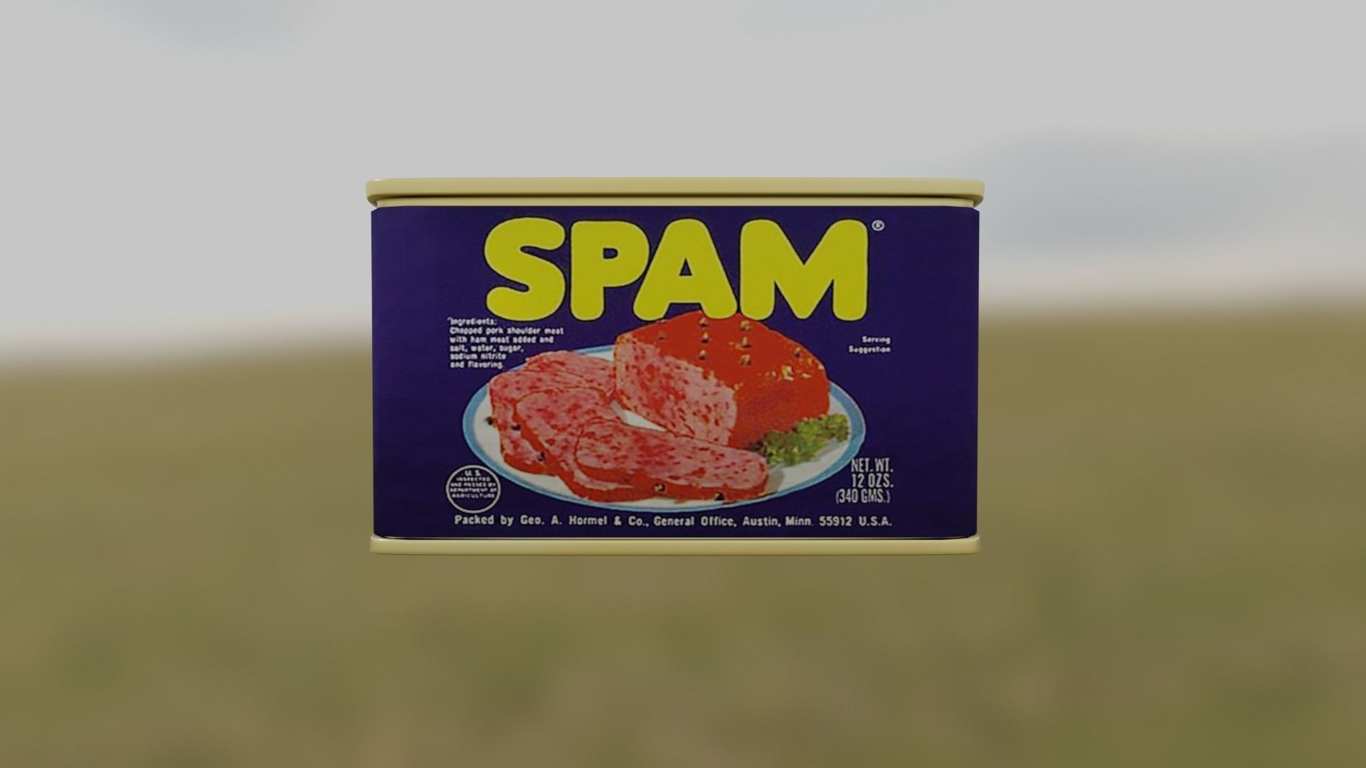Can Of Spam Free 3D model_5