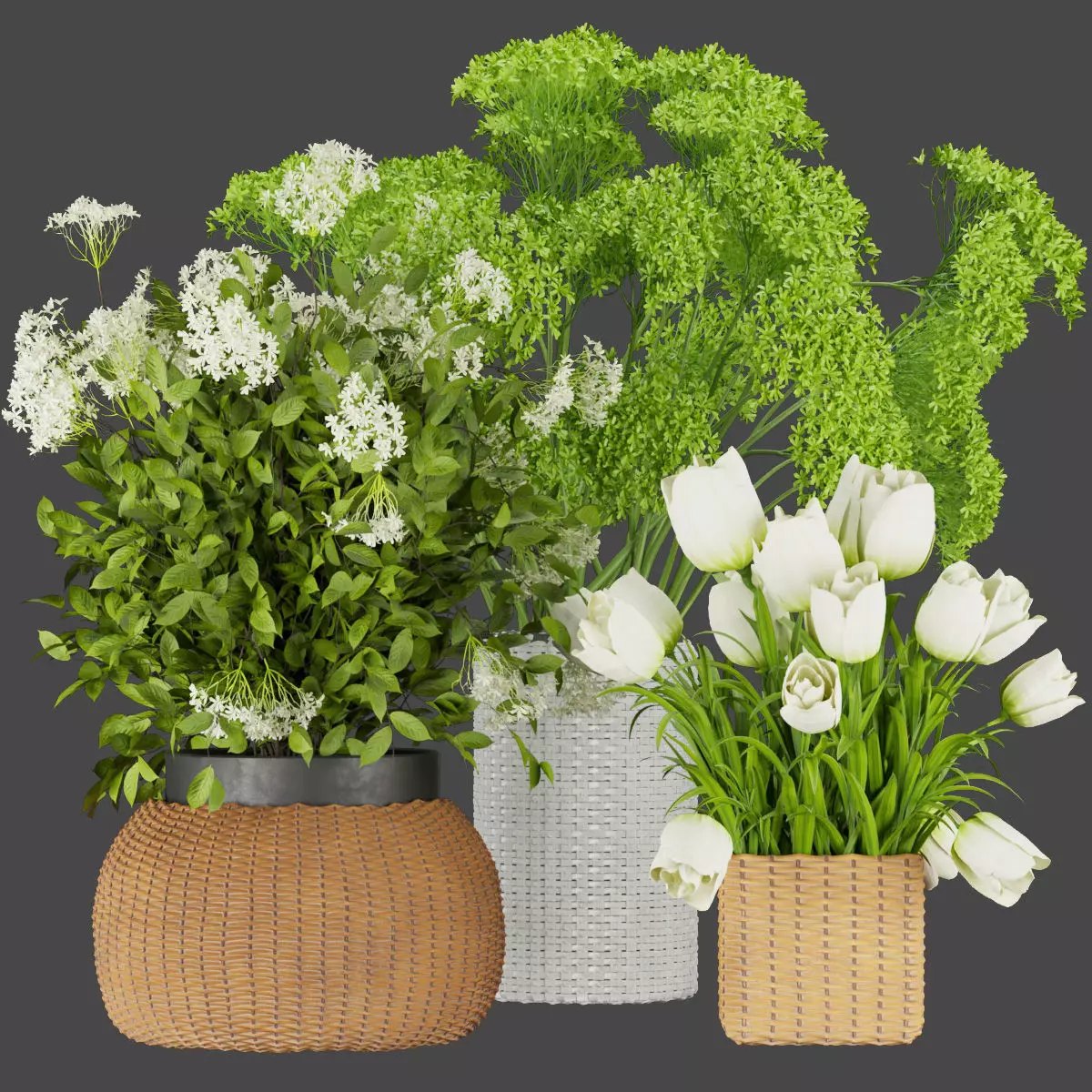 Collection plant vol 365 - Bouquet - flower - rose - indoor 3D model