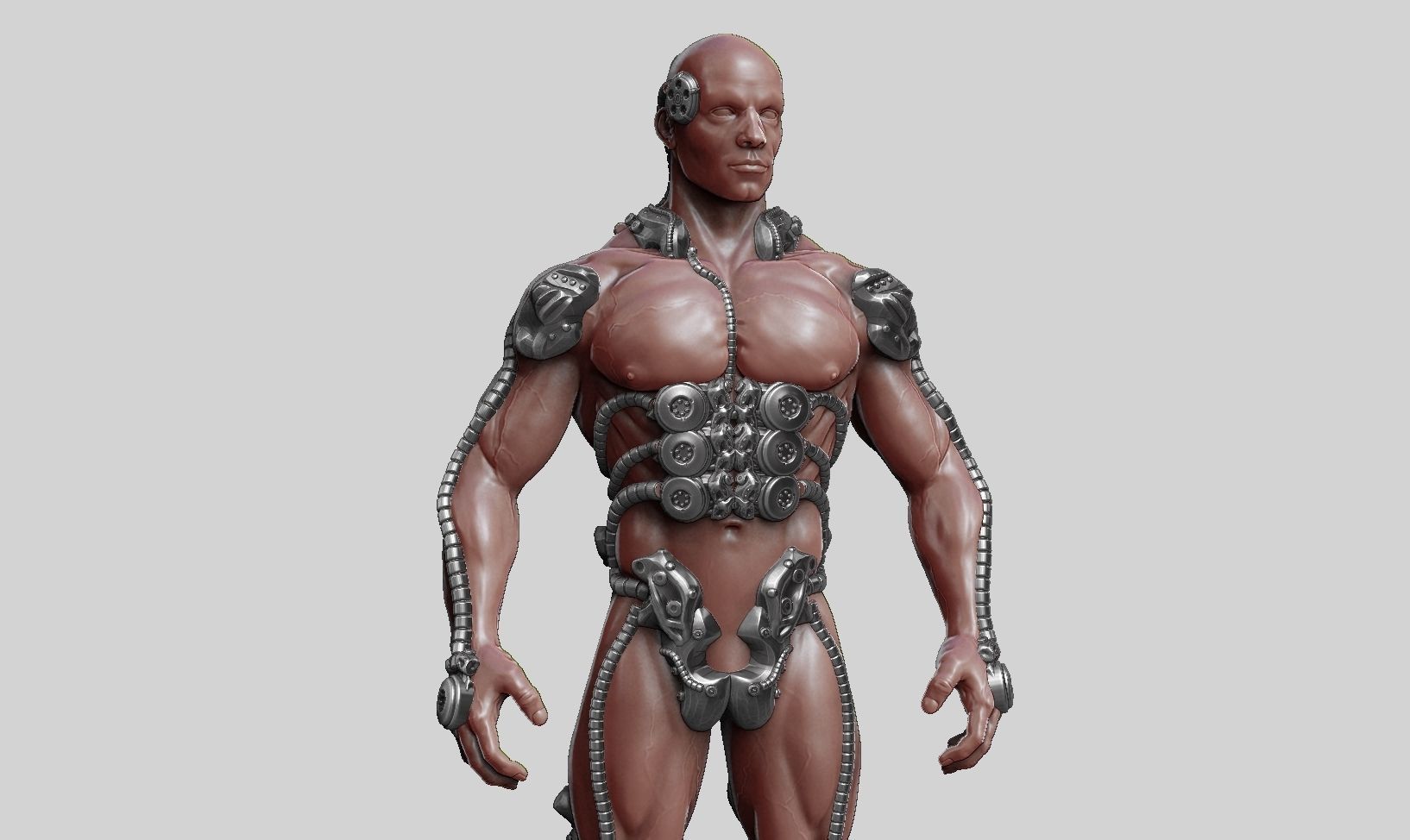 human robot  anatomy a01 3D print model 3D print model_2