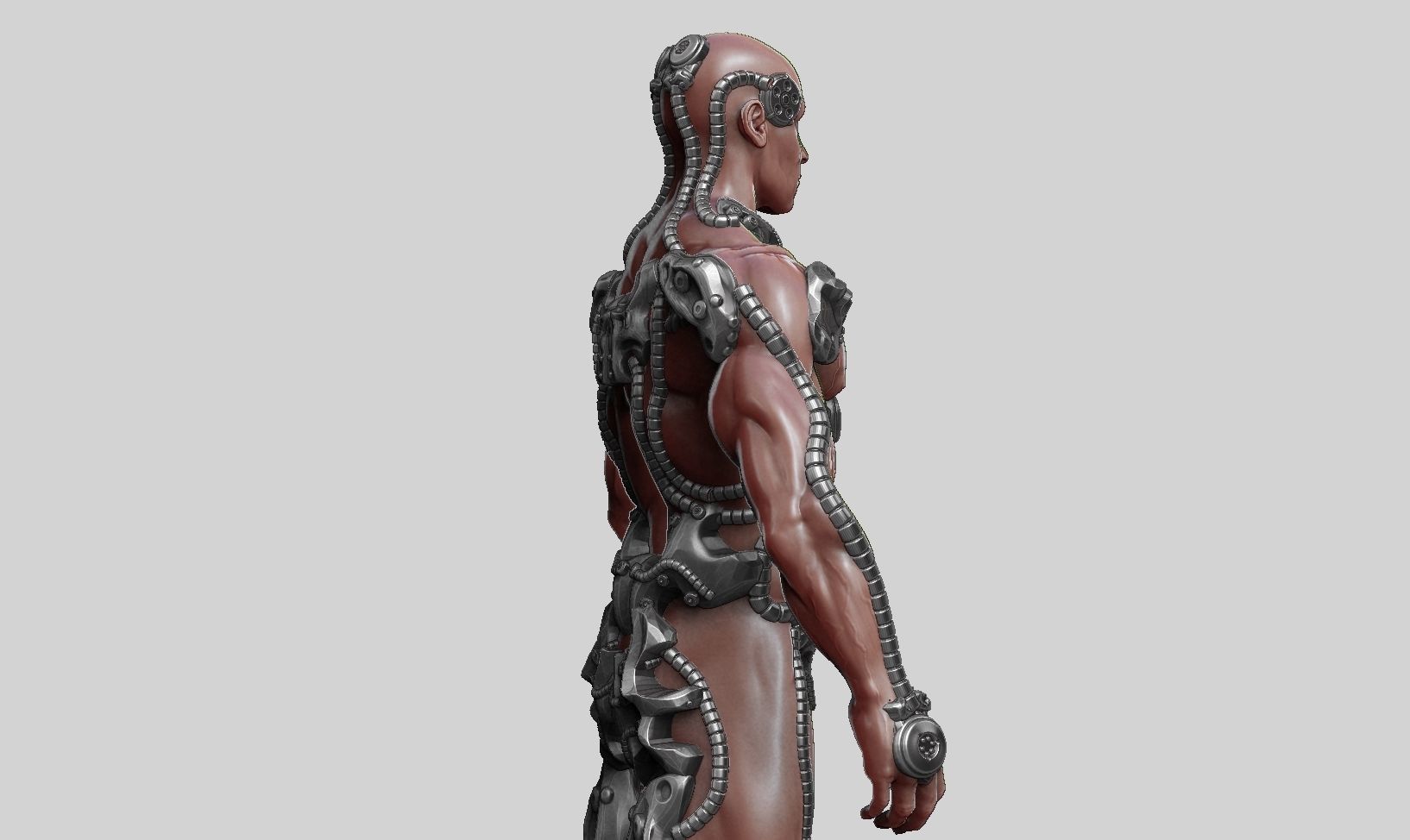 human robot  anatomy a01 3D print model 3D print model_17
