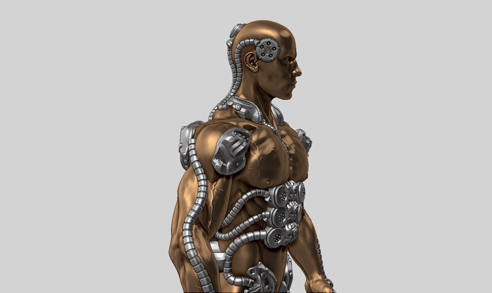 human robot  anatomy a01 3D print model 3D print model_9