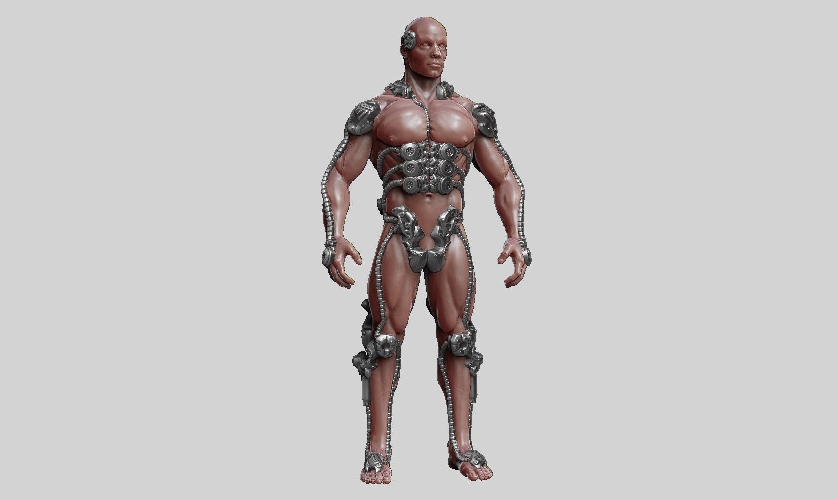 human robot  anatomy a01 3D print model 3D print model_21