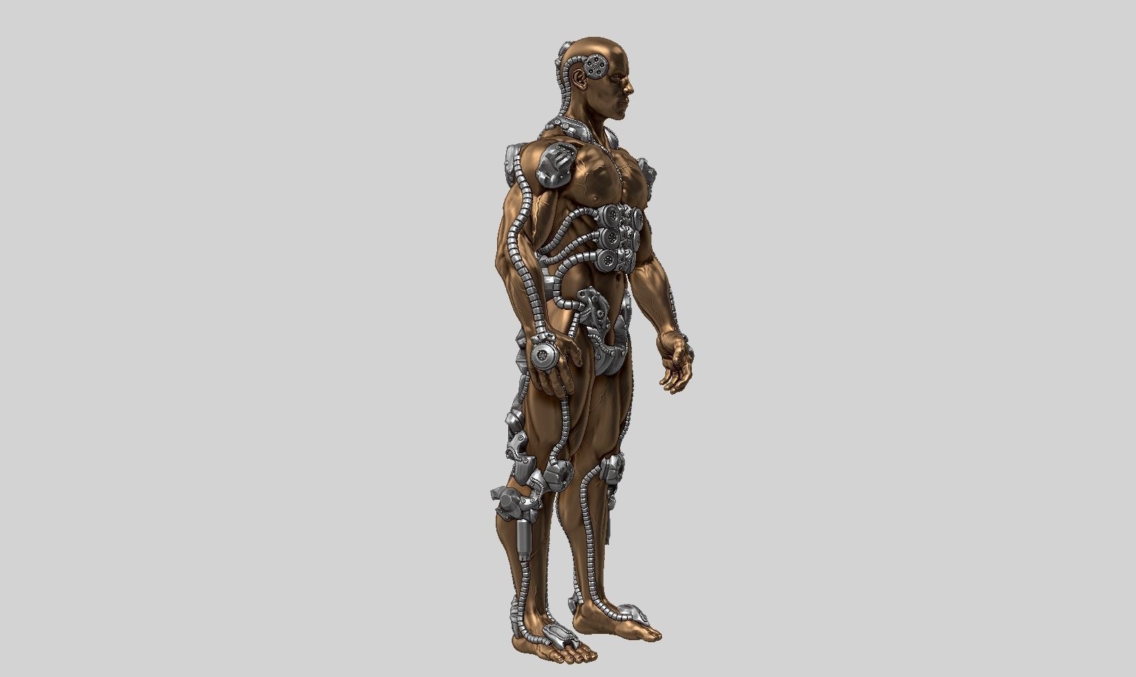 human robot  anatomy a01 3D print model 3D print model_14