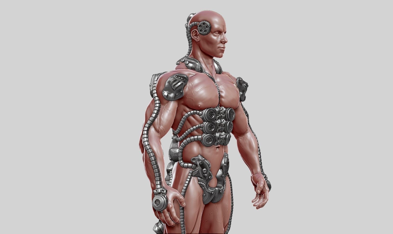 human robot  anatomy a01 3D print model 3D print model_16