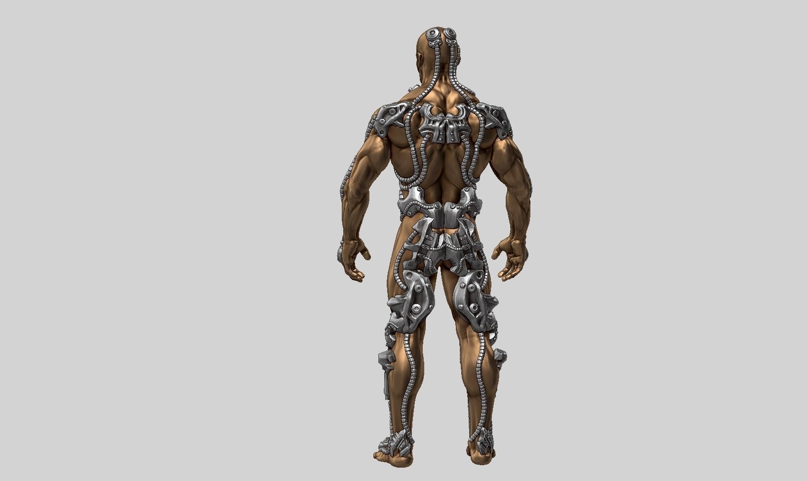 human robot  anatomy a01 3D print model 3D print model_15