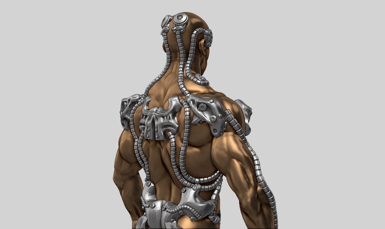 human robot  anatomy a01 3D print model 3D print model_10