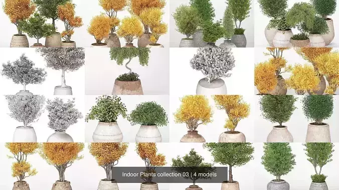 Indoor Plants collection 03