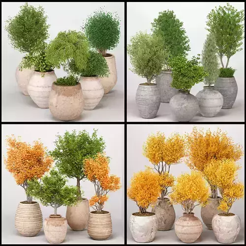 Indoor Plants collection 03