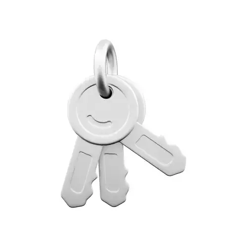 3D Door keys 3D model