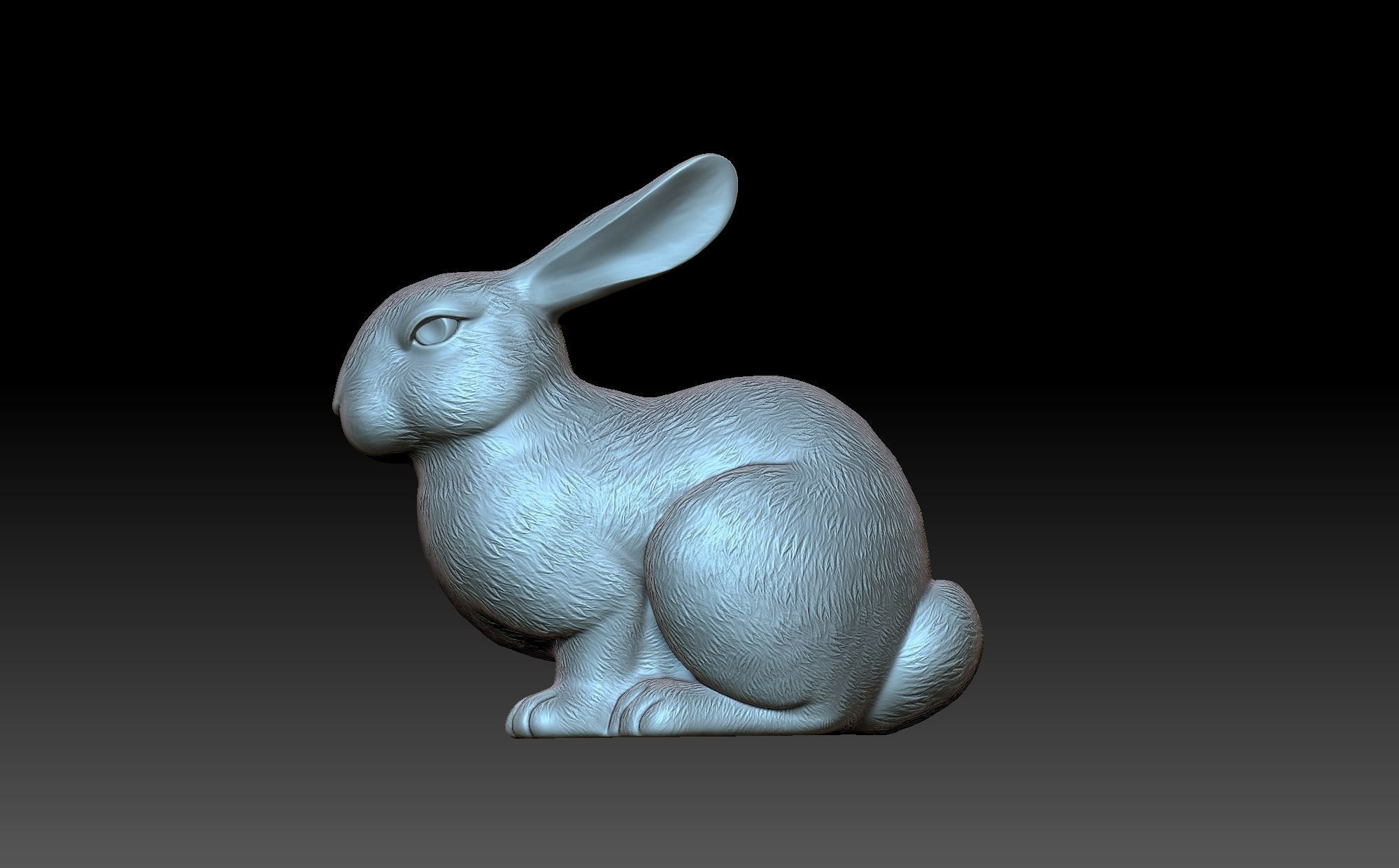 Rabbit 3D print model_4
