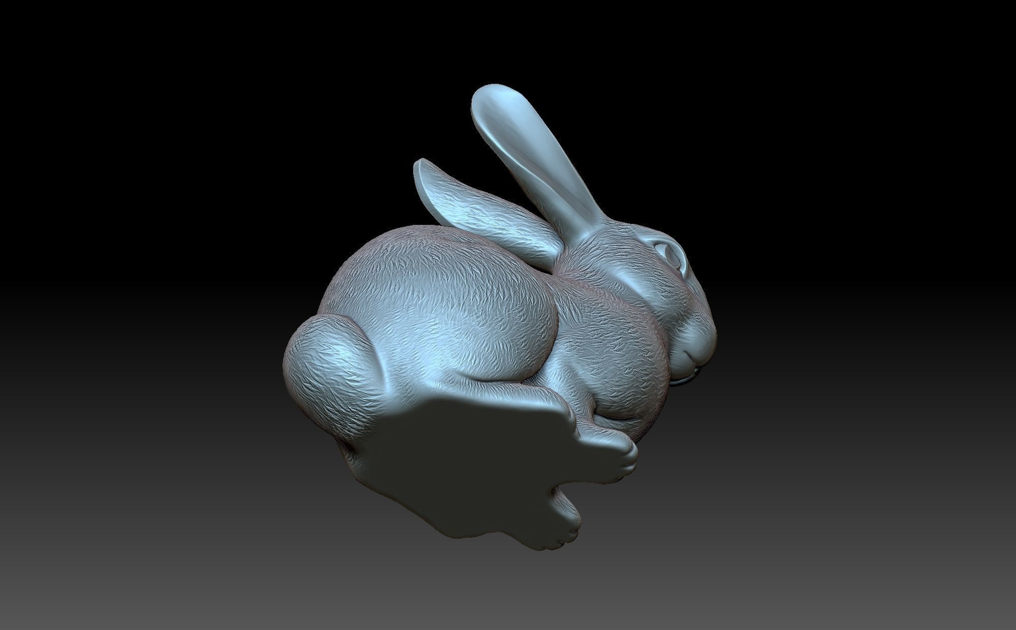 Rabbit 3D print model_8