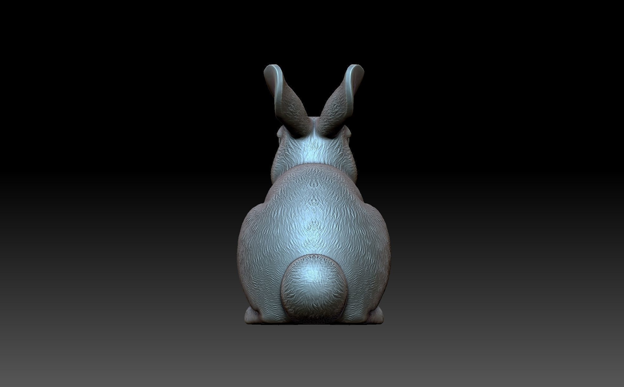 Rabbit 3D print model_6