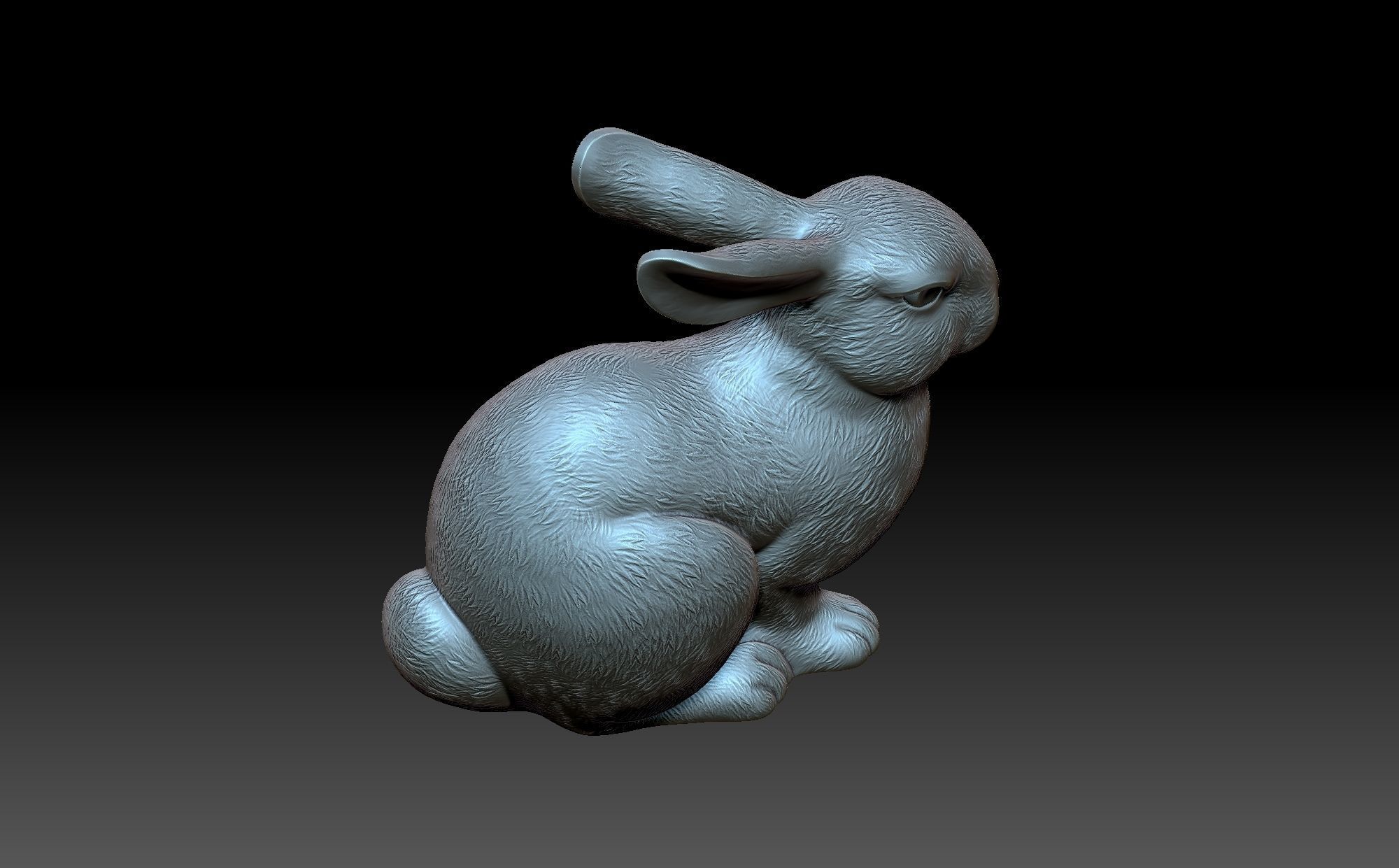 Rabbit 3D print model_7