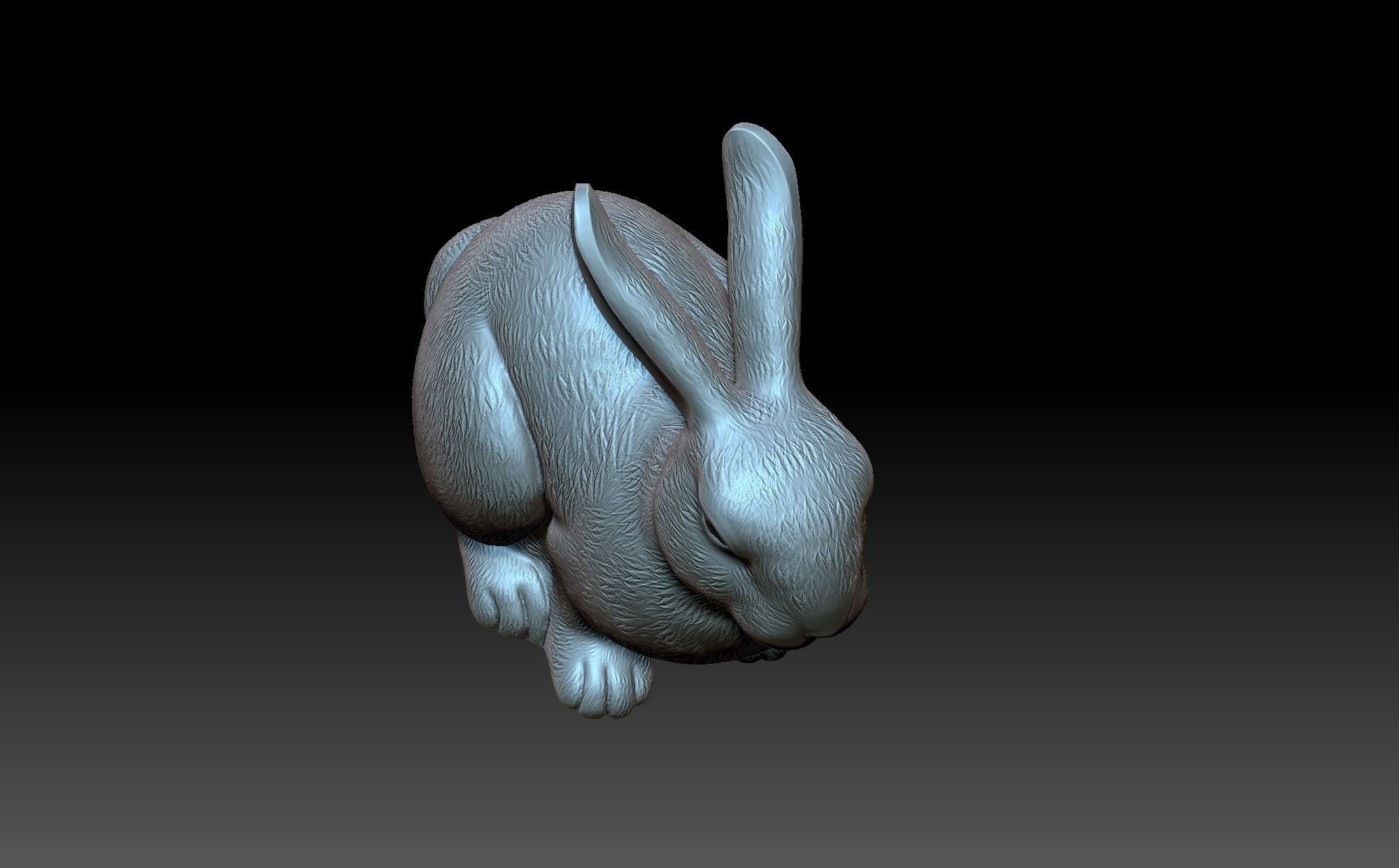 Rabbit 3D print model_10