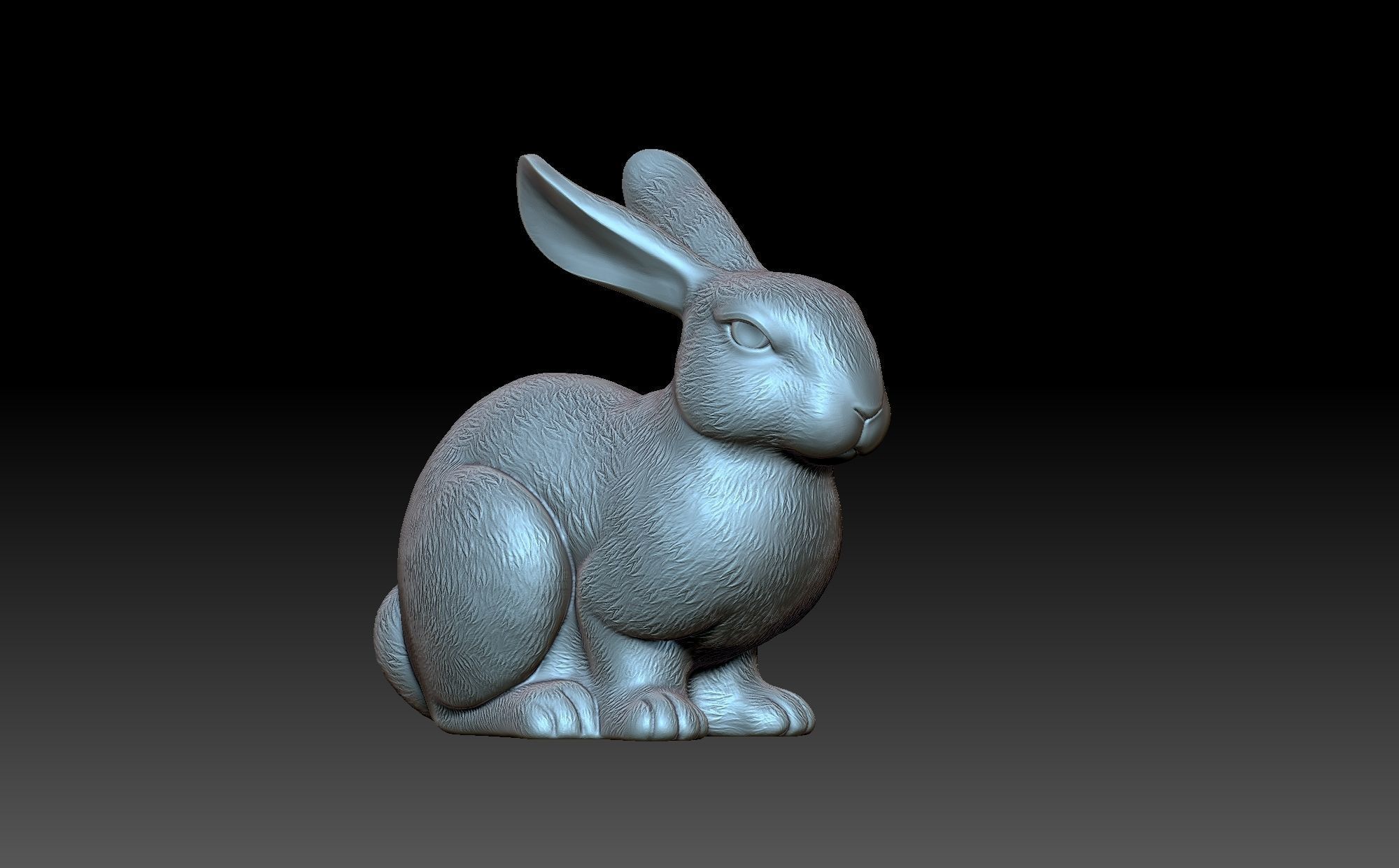 Rabbit 3D print model_1