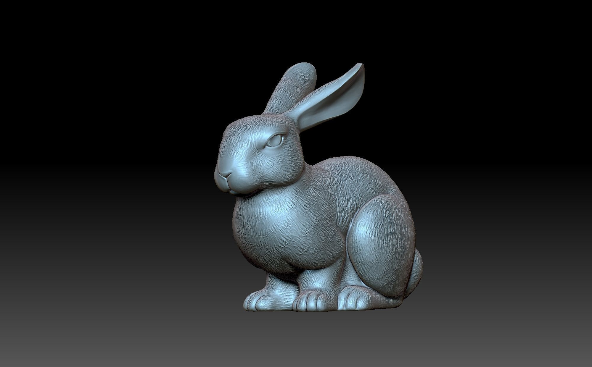 Rabbit 3D print model_3