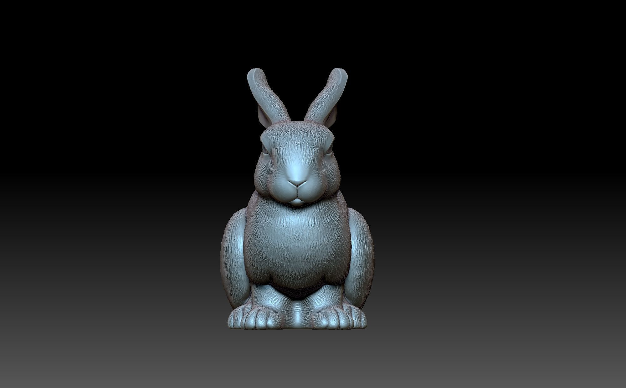 Rabbit 3D print model_2