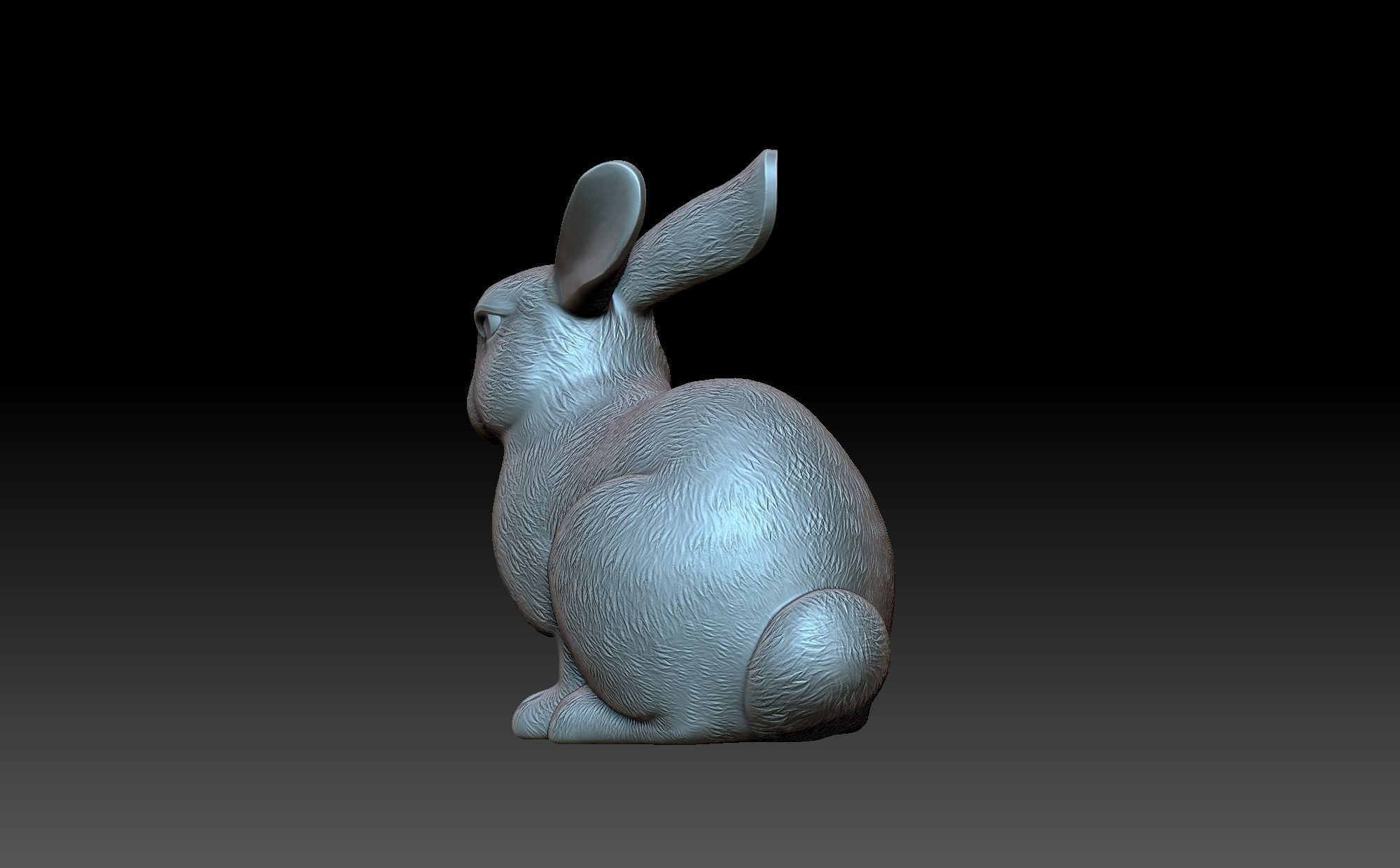 Rabbit 3D print model_5