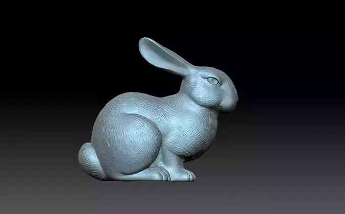 Rabbit