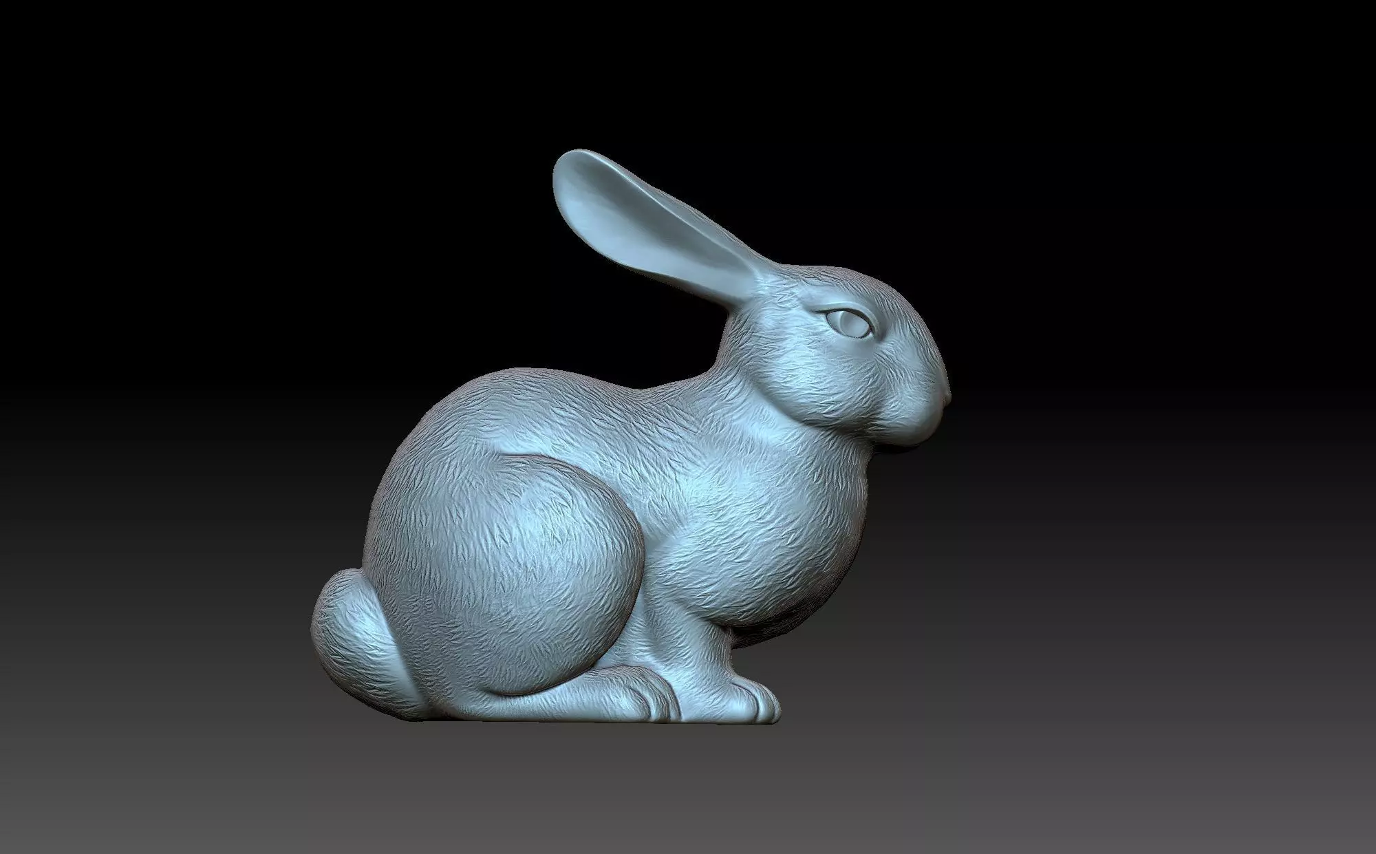 Rabbit 3D print model_0