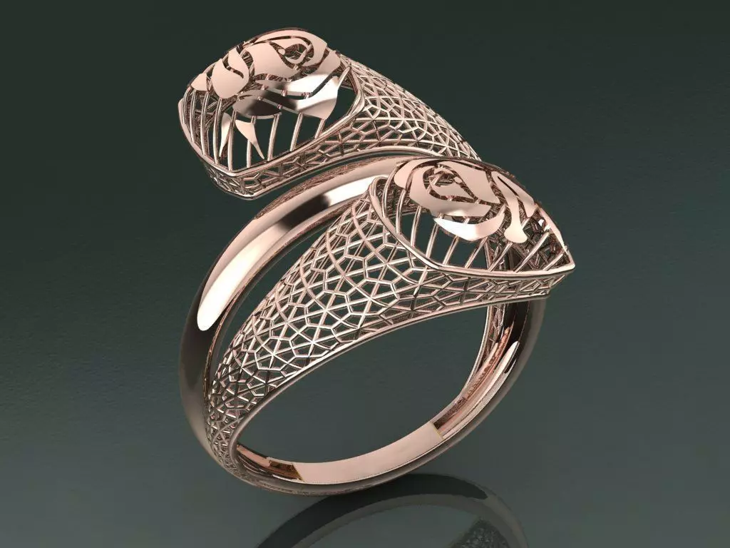 vision ring 3D print model