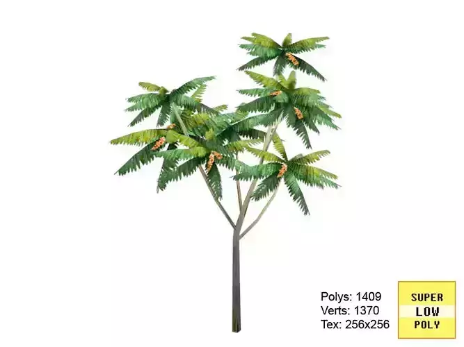 Tropical Fruit Citrus Tree Lepisanthes - Super 