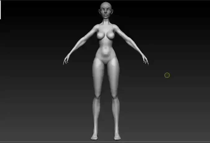 Stylized Female Body