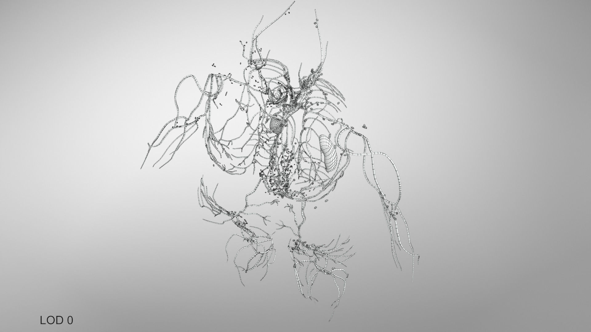 Complete Male Anatomy Low-poly 3D model_122