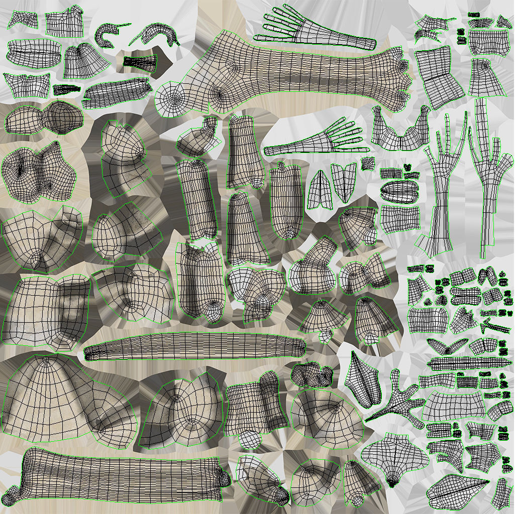 Complete Male Anatomy Low-poly 3D model_141