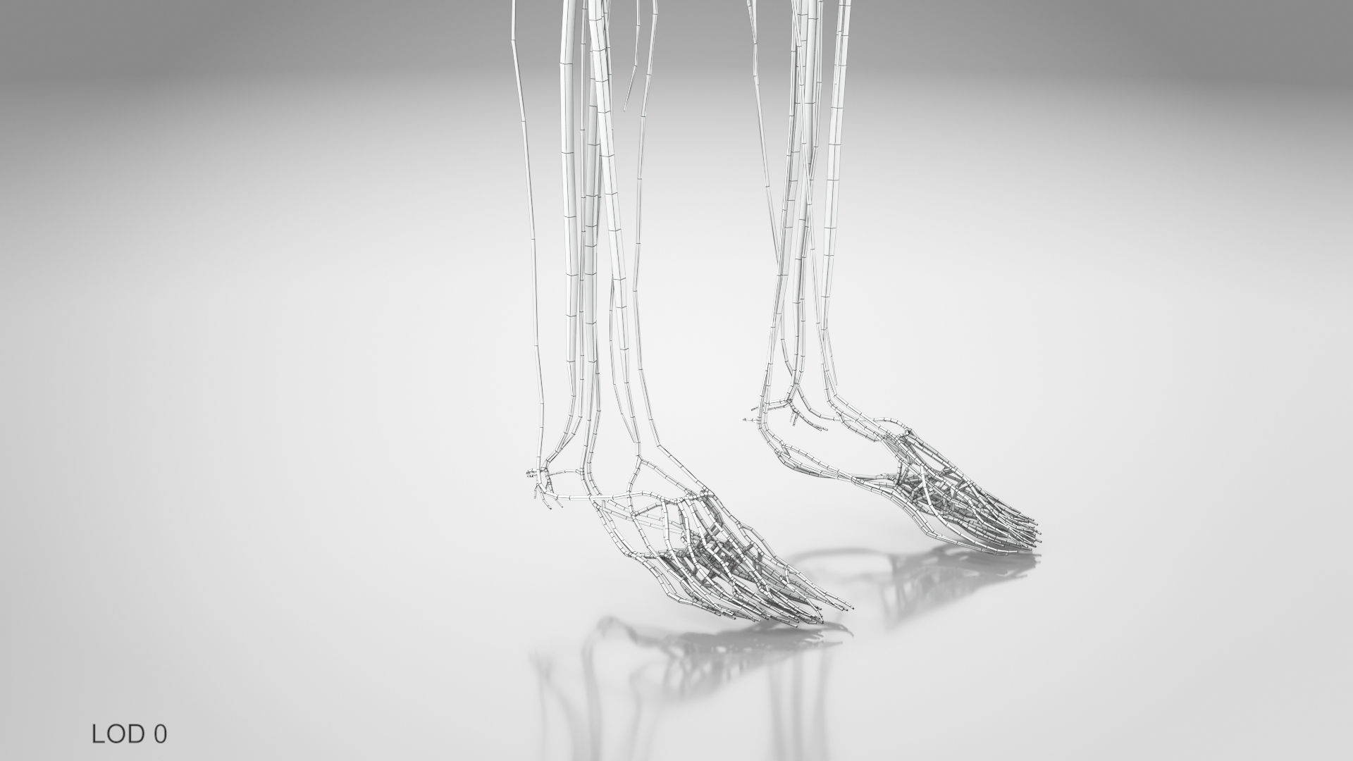 Complete Male Anatomy Low-poly 3D model_65