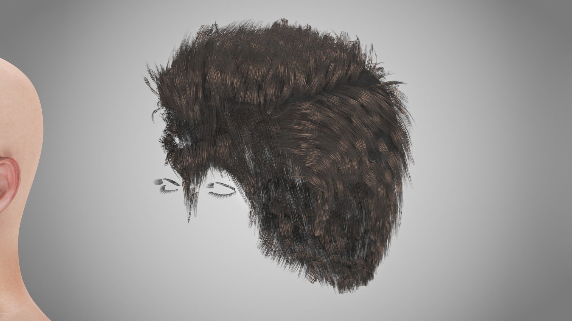 Complete Male Anatomy Low-poly 3D model_29