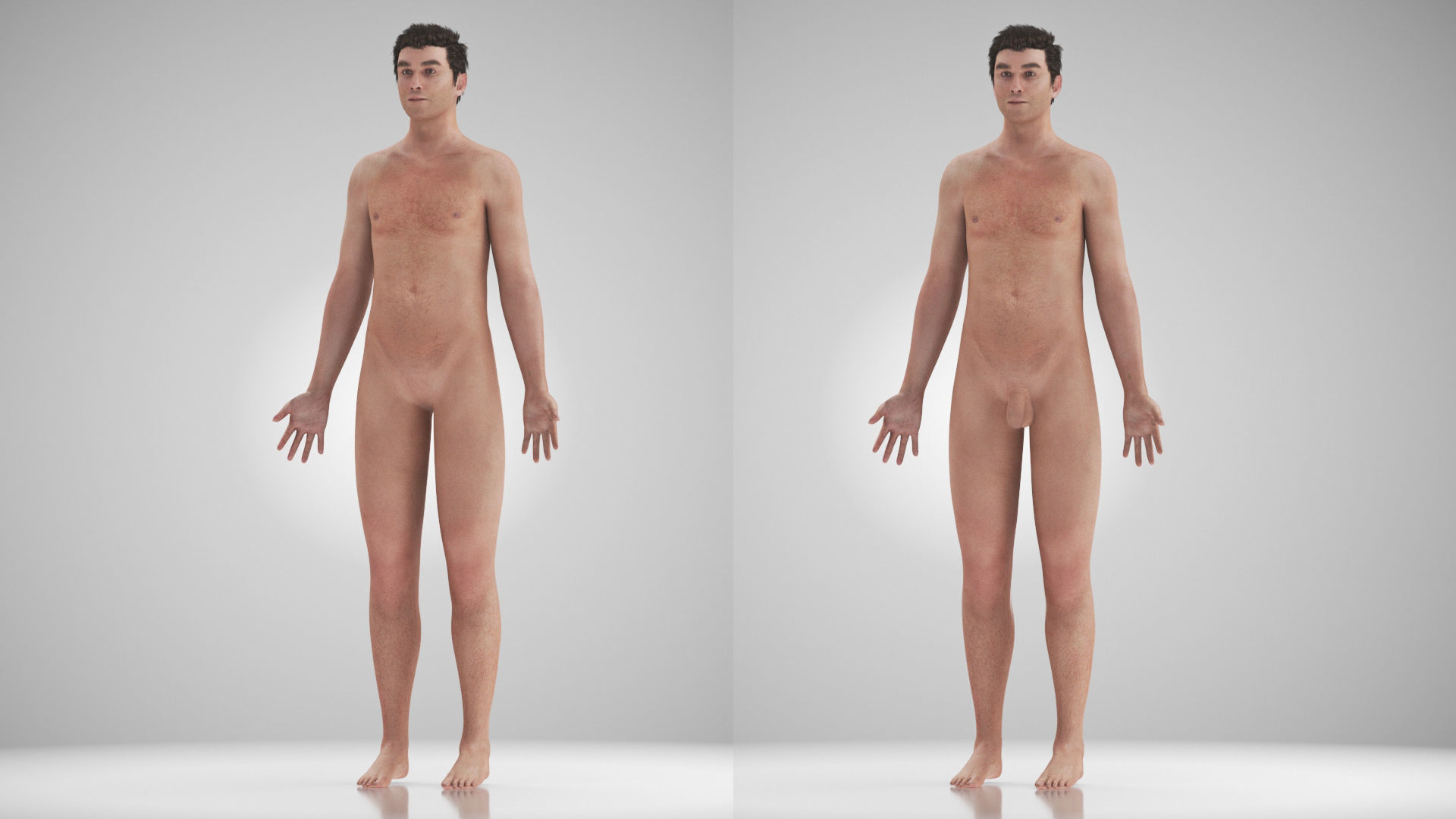 Complete Male Anatomy Low-poly 3D model_31