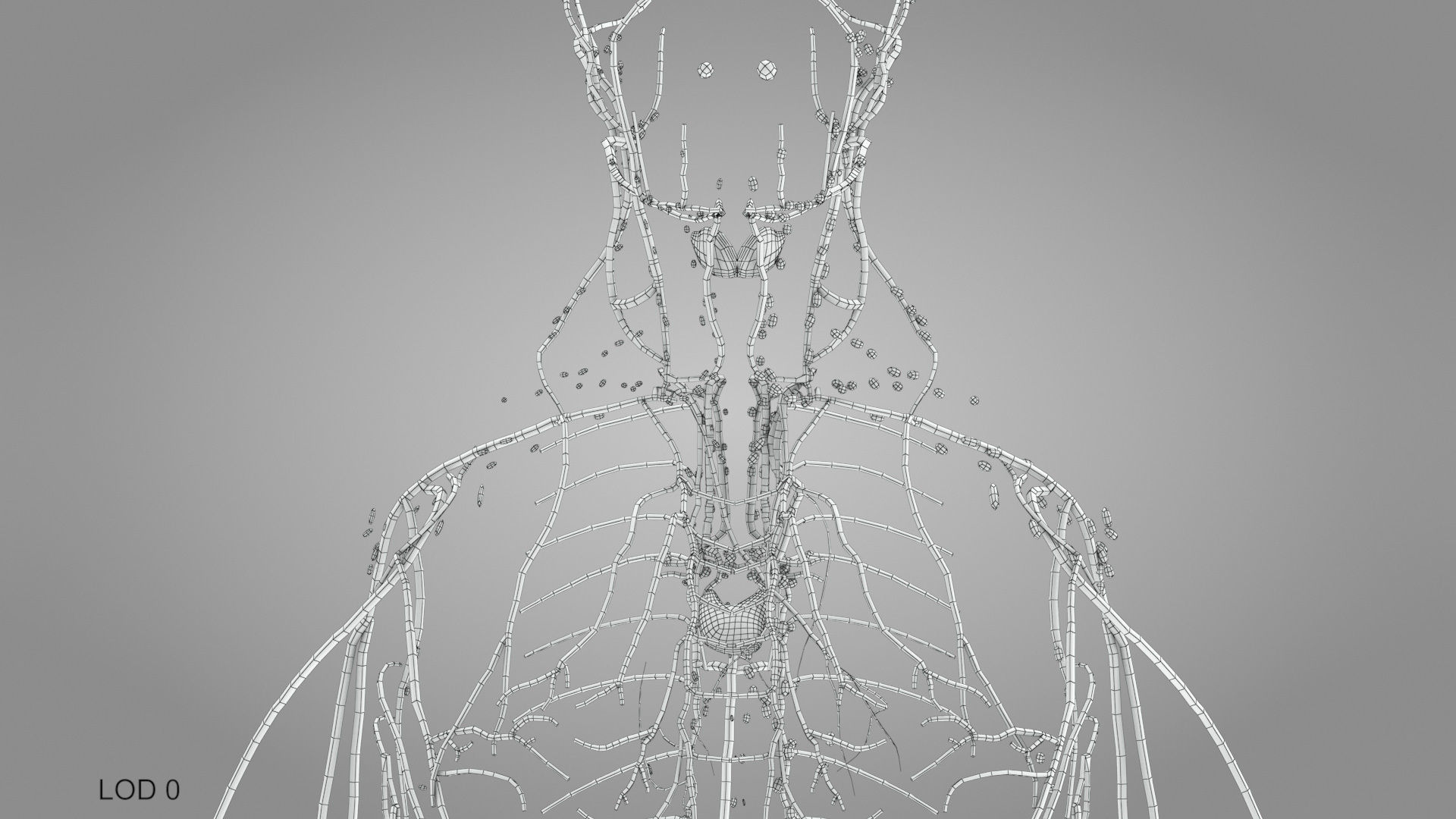 Complete Male Anatomy Low-poly 3D model_121