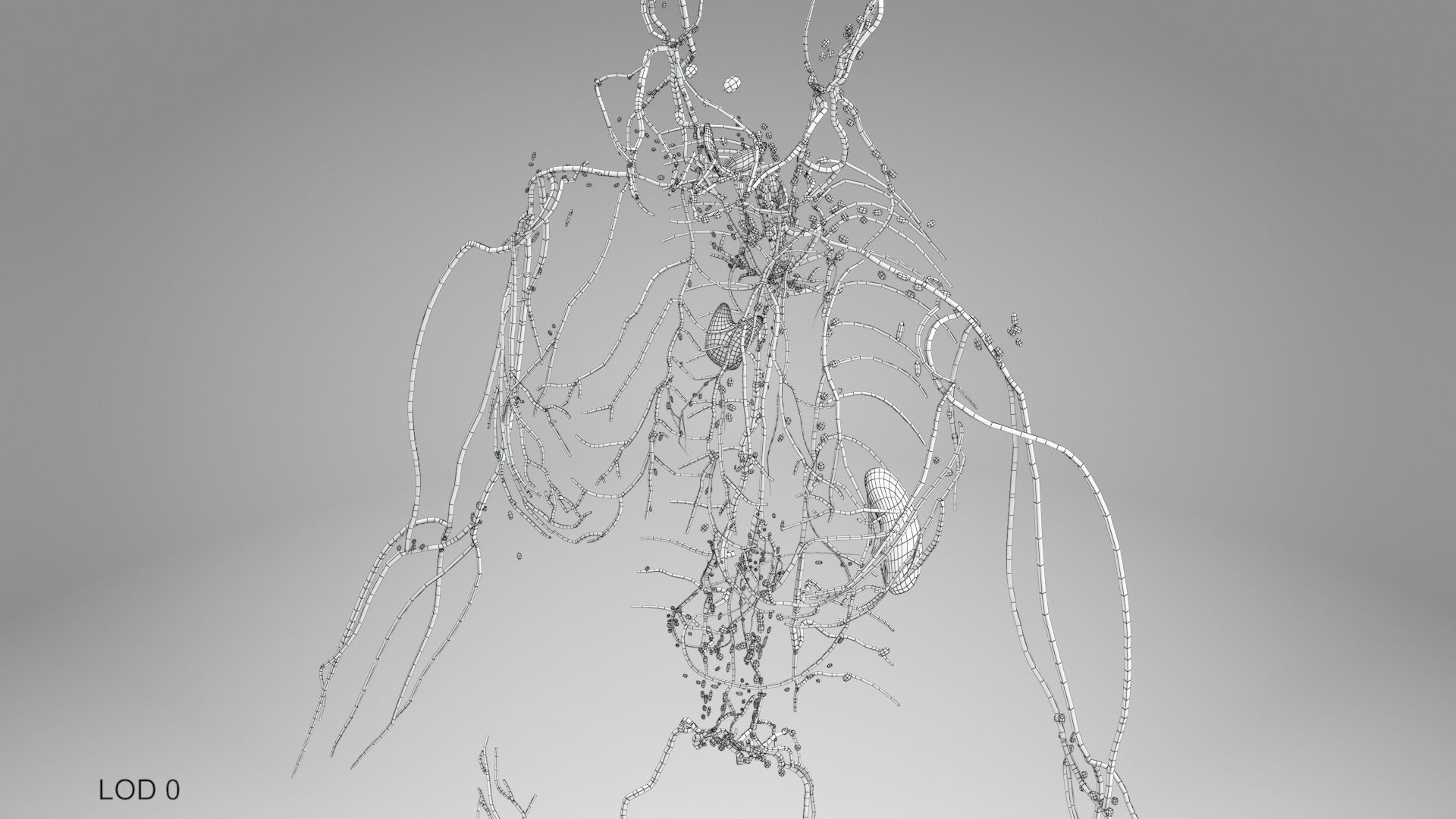 Complete Male Anatomy Low-poly 3D model_118