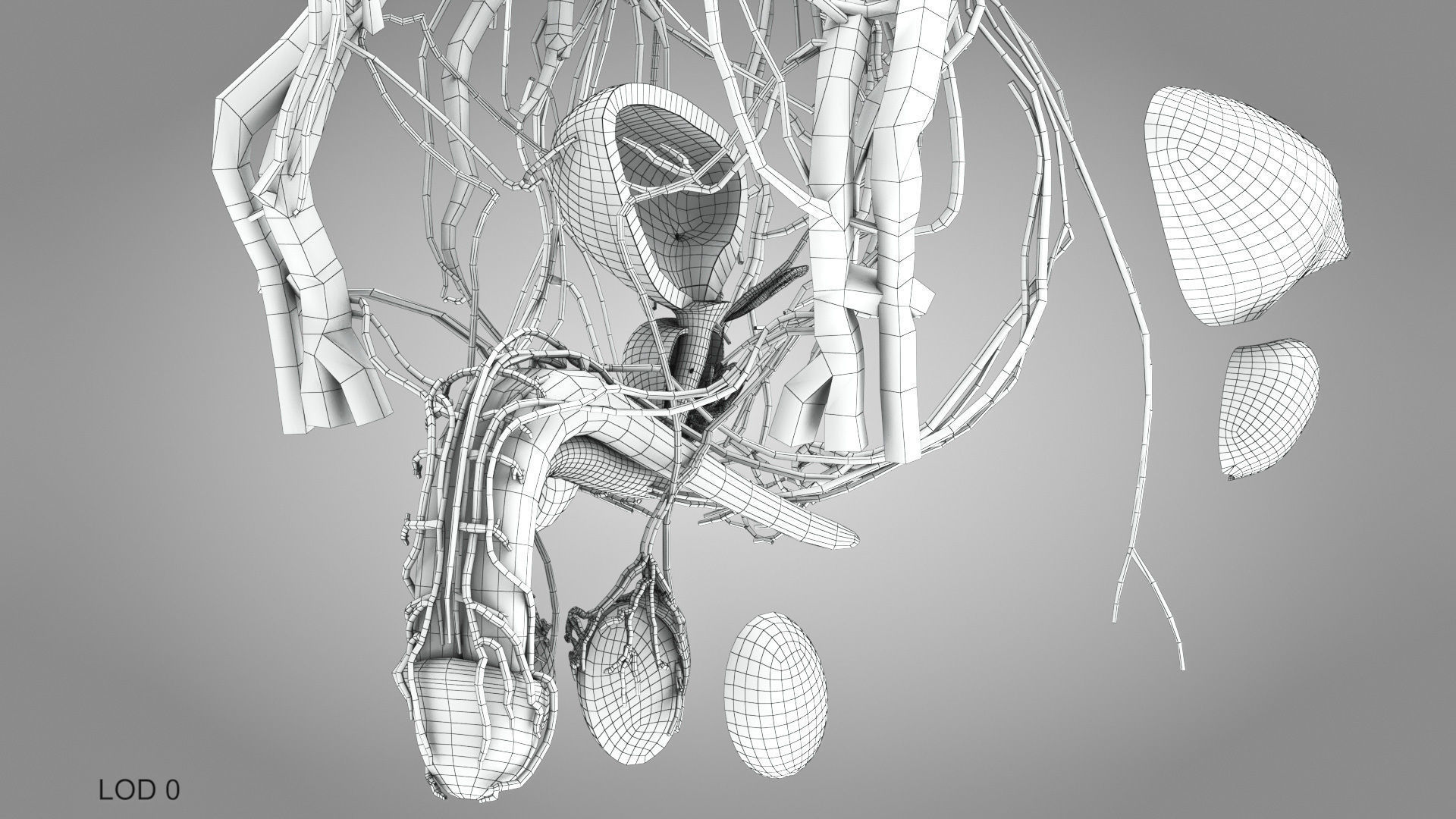 Complete Male Anatomy Low-poly 3D model_148