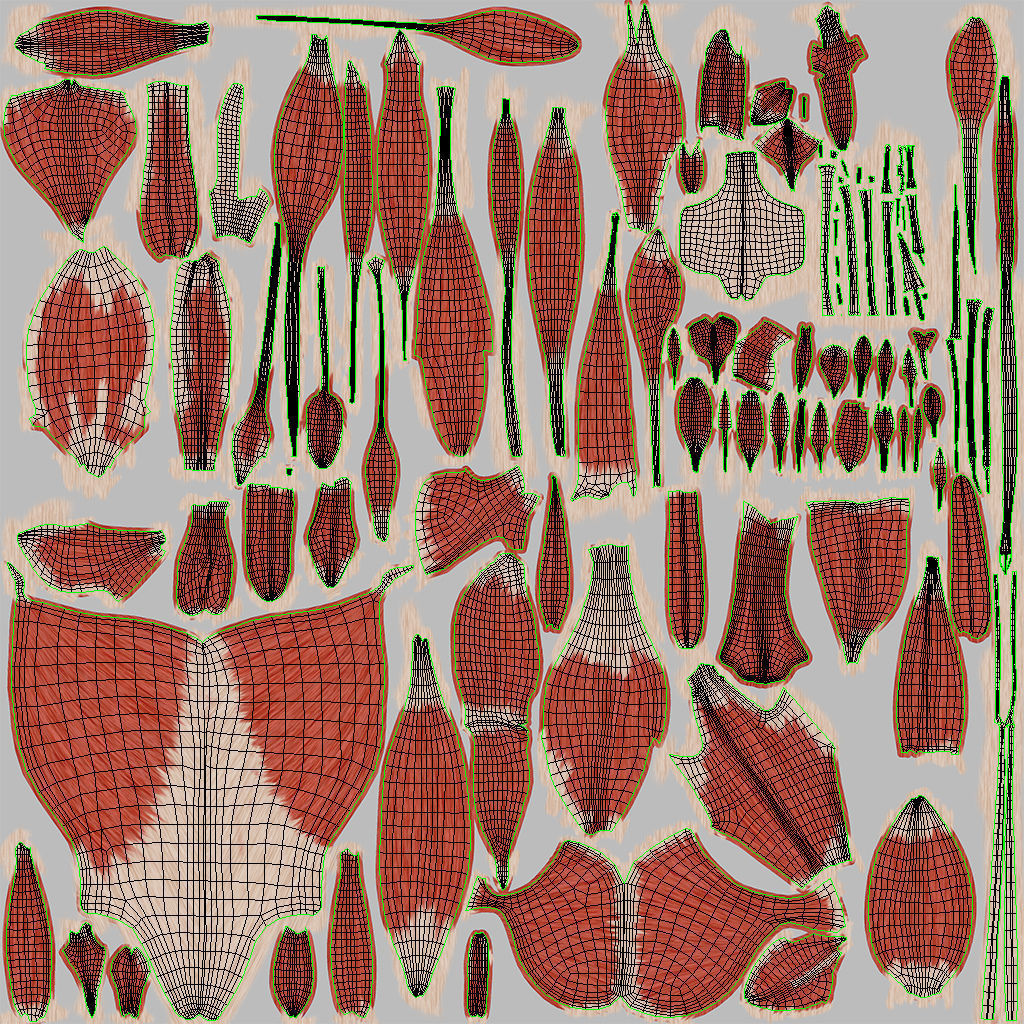 Complete Male Anatomy Low-poly 3D model_81