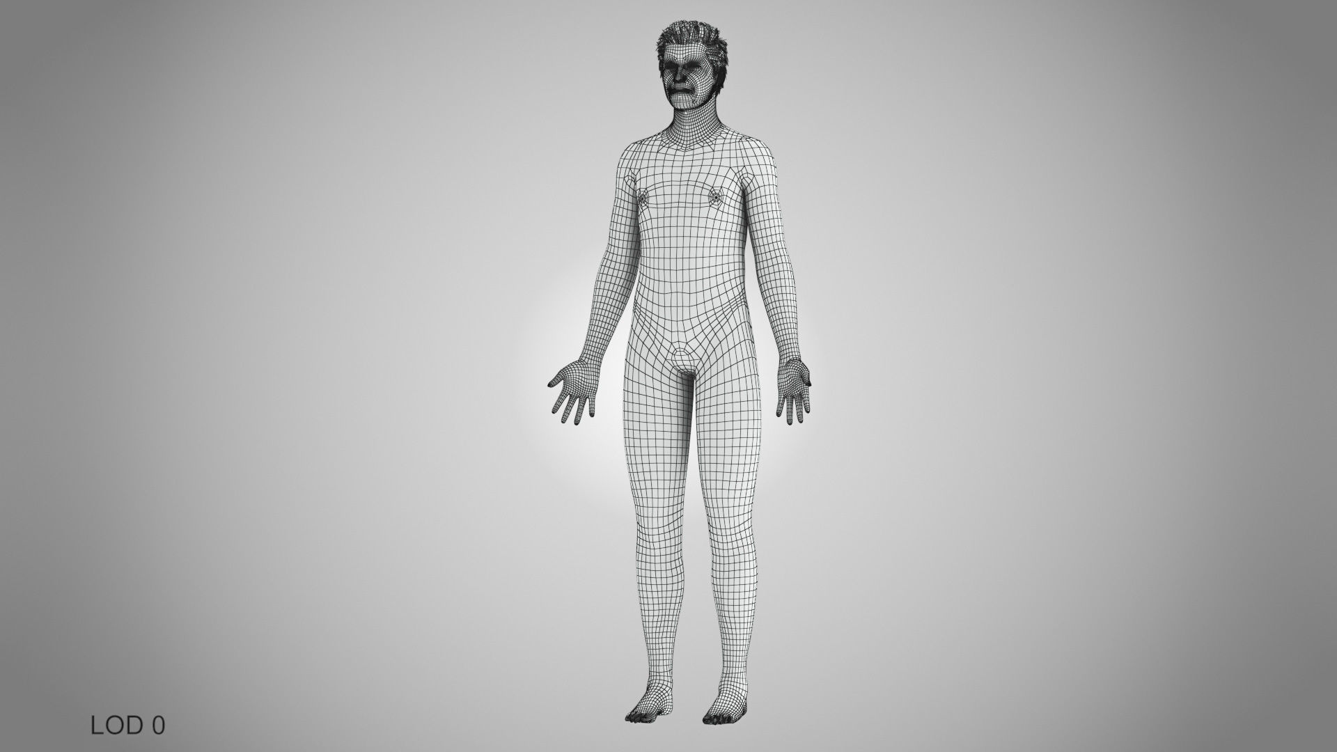 Complete Male Anatomy Low-poly 3D model_32