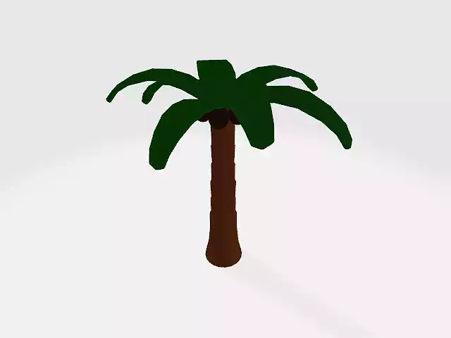 Palm Tree 
