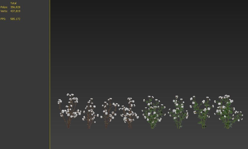 cotton plant 3D model_5