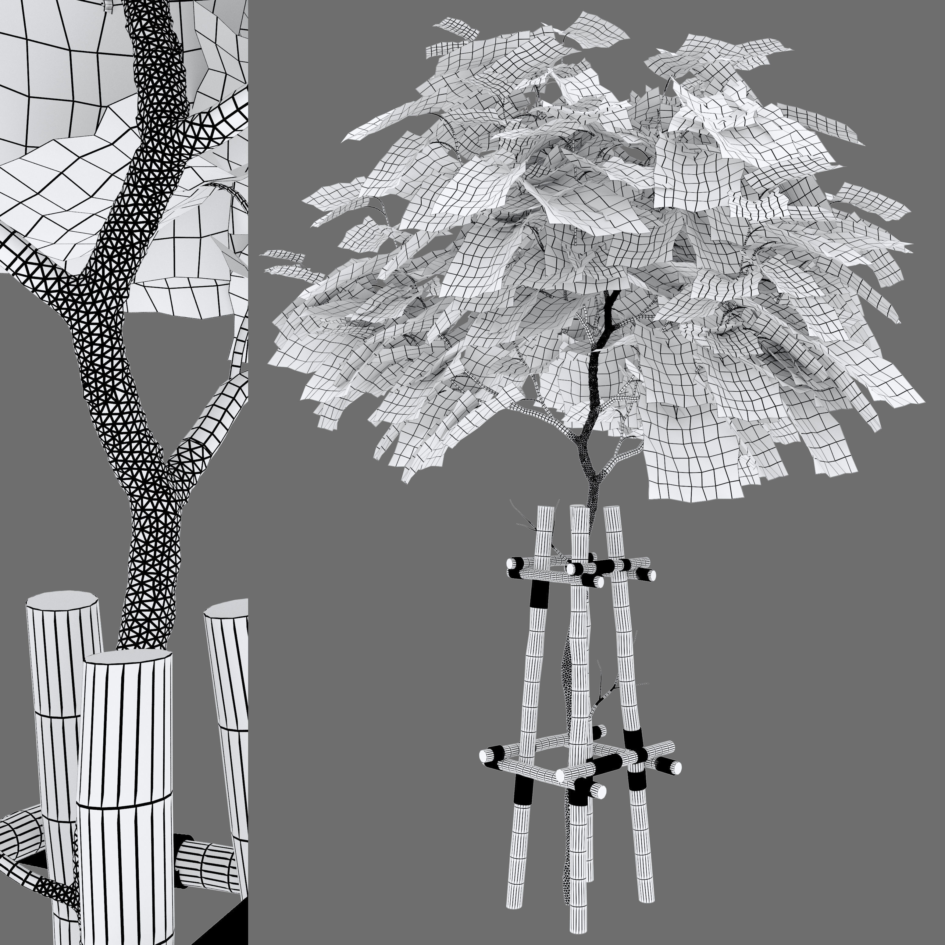 Catalpa tree 3D model_3