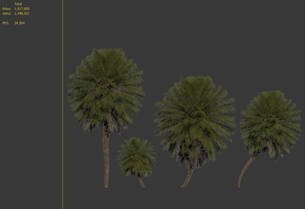 Phoenix roebelenii 3D model_6